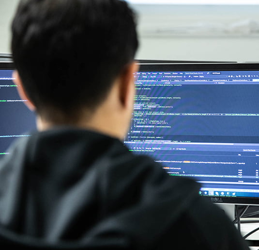 Developer
